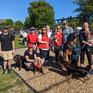 Team Page: Orbridge Paws